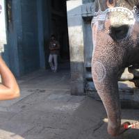 20051118_Photo_1025_Ananda Ula 2005 Kanchipuram 008_CMP_WM